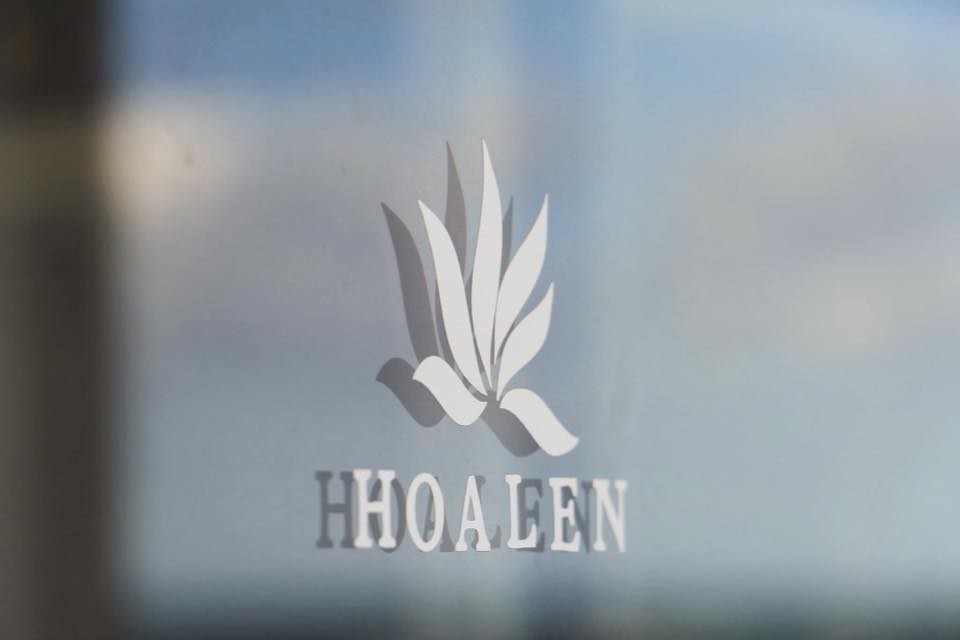 logotype-hoalen